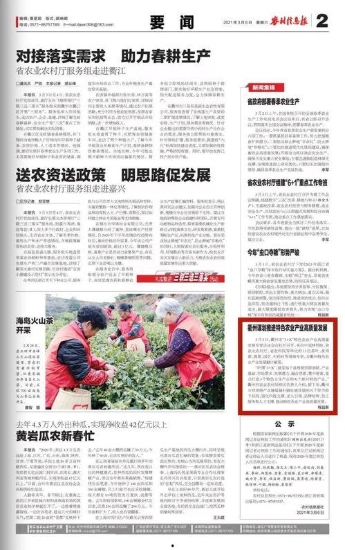 沙河村最新爆料新闻报道,揭秘村庄背后惊人真相