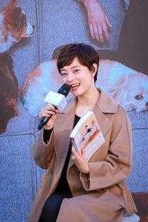 孙俪真实爆料视频大全,揭秘演艺圈幕后故事